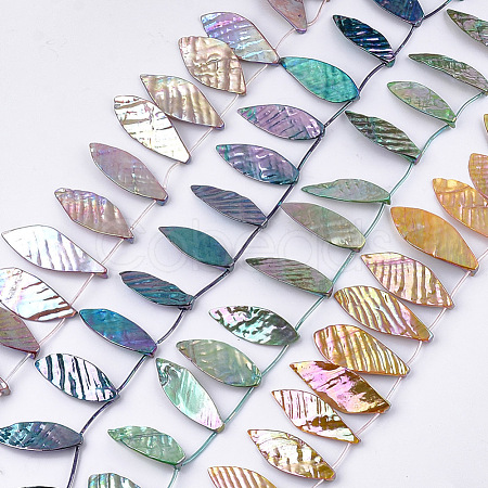 Freshwater Shell Beads Strands SHEL-T012-51-1