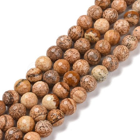 Natural Picture Jasper Beads Strands G-E571-28B-1