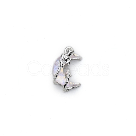 Gothic Resin Pendants PW-WGE4F3A-02-1