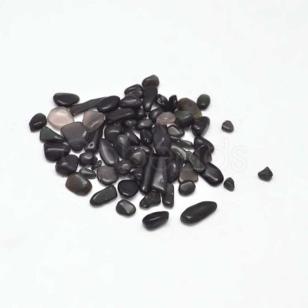 Natural Obsidian Chip Beads G-L453-08-1