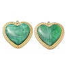 304 Stainless Steel Resin Pendants STAS-C174-19G-04-1