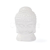 Natural Selenite Figurines DJEW-Q006-01A-1