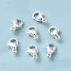 304 Stainless Steel Lobster Claw Clasps STAS-R120-02A-S-2