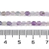 Natural Fluorite Beads Strands G-O201B-101A-5
