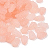 Frosted Transparent Acrylic Beads X1-OACR-P029-04B-03-2