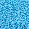 MIYUKI Delica Beads X-SEED-J020-DB0755-3