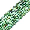 Natural Variscite Beads Strands G-F715-109A-1