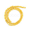 Natural Freshwater Shell Beads Strands SHEL-G013-02H-2