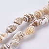 Natural Sea Shell Beads Strands X-BSHE-K012-07-1