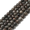 Natural Fluorescent Syenite Rock(Glow under UV Light) Beads Strands G-K340-A05-02-1