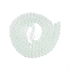 Baking Paint Transparent Glass Bead Strands GLAA-S031-6mm-29-4