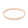 Clear Cubic Zirconia Bangle STAS-P303-02-2