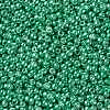 TOHO 11/0 Round Beads SEED-TR11-0561-2