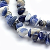 Natural Sodalite Beads Strands X-G-P332-21-2