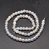 Electroplate Synthetic Crackle Quartz Bead Strands EGLA-J067-10mm-AB01-2