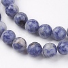 Natural Blue Spot Jasper Bead Strands G-R193-15-6mm-5