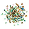 Picasso Glass Seed Beads SEED-TADJ0001-05A-2