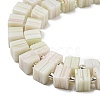 Handwork Lampwork Beads LAMP-B022-01E-4