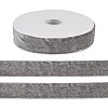 10 Yards Polyester Velvet Ribbon OCOR-TA0004-13C-1