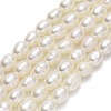 Natural Cultured Freshwater Pearl Beads Strands PEAR-J006-14C-01-X-1