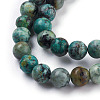 Natural African Turquoise(Jasper) Beads Strands TURQ-G037-8mm-3