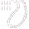 2 Strands Natural Freshwater Shell Beads Strands BSHE-PH0001-53-1