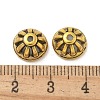 Tibetan Style Alloy Beads TIBE-P003-69AG-2