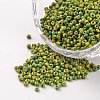 12/0 Opaque Colours Seep Glass Beads SEED-M008-C27-1