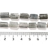 Natural Eagle Eye Stone Beads Strands G-G068-A24-01-5
