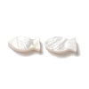 Natural Freshwater Shell Beads SHEL-H003-06-1