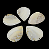 Teardrop Freshwater Shell Chandelier Components SHEL-F001-25-1