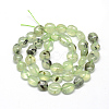 Natural Prehnite Beads Strands X-G-R445-8x10-25-2