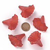 Transparent Acrylic Beads BSF796-C12-5