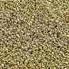 TOHO 11/0 Round Beads SEED-TR11-PF0557-2