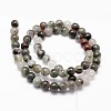 Natural African Bloodstone Beads Strands G-G735-32-6mm-2