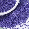 MIYUKI Delica Beads X-SEED-J020-DB0361-1