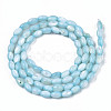 Natural Freshwater Shell Beads Strands SHEL-N003-25-B02-2