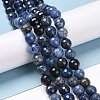 Natural Dumortierite Beads Strands G-E571-06B-4