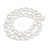 Electroplated Shell Pearl Beads Strands BSHE-G027-13A-3