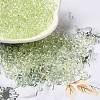 Transparent Colours Glass Seed Beads SEED-P007-02A-06-1
