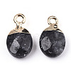Natural Larvikite Charms G-N326-58A-3