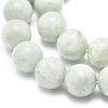 Natural Myanmar Jade/Burmese Jade Beads Strands G-D0001-09-10mm-3