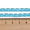 Transparent Glass Beads Strands GLAA-Z018-C23-4