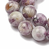 Natural Lepidolite/Purple Mica Stone Beads Strands G-G160-A01-02-4