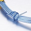 Round Aluminum Craft Wire AW-D009-1mm-10m-19-2