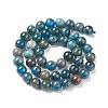 Natural Apatite Beads LS-G-E481-05-8mm-01-3