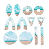 12Pcs 6 Styles Opaque Resin & Ash Wood Pendants RESI-N053-12-1