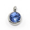 Trendy Original Color 304 Stainless Steel Grade A Rhinestone Flat Round Charm Pendants RB-M030-06I-1
