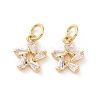Star Brass Micro Pave Clear Cubic Zirconia Charms KK-G435-43G-2
