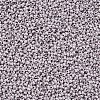 11/0 FGB Grade A Ceylon Glass Seed Beads X-SEED-N001-B-0489-2